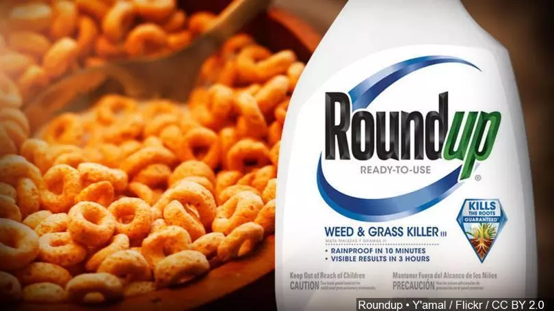 Roundup gallon in food attorney