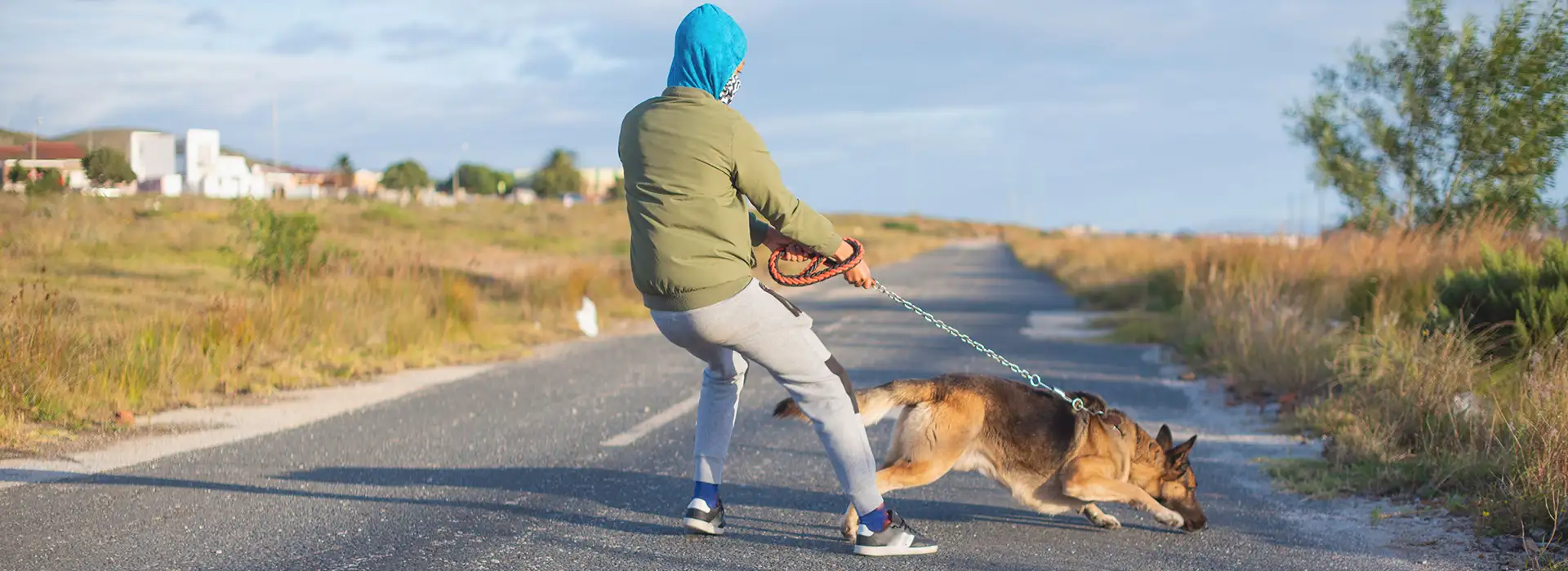 Greenwood Village Dog Bite Lawyer